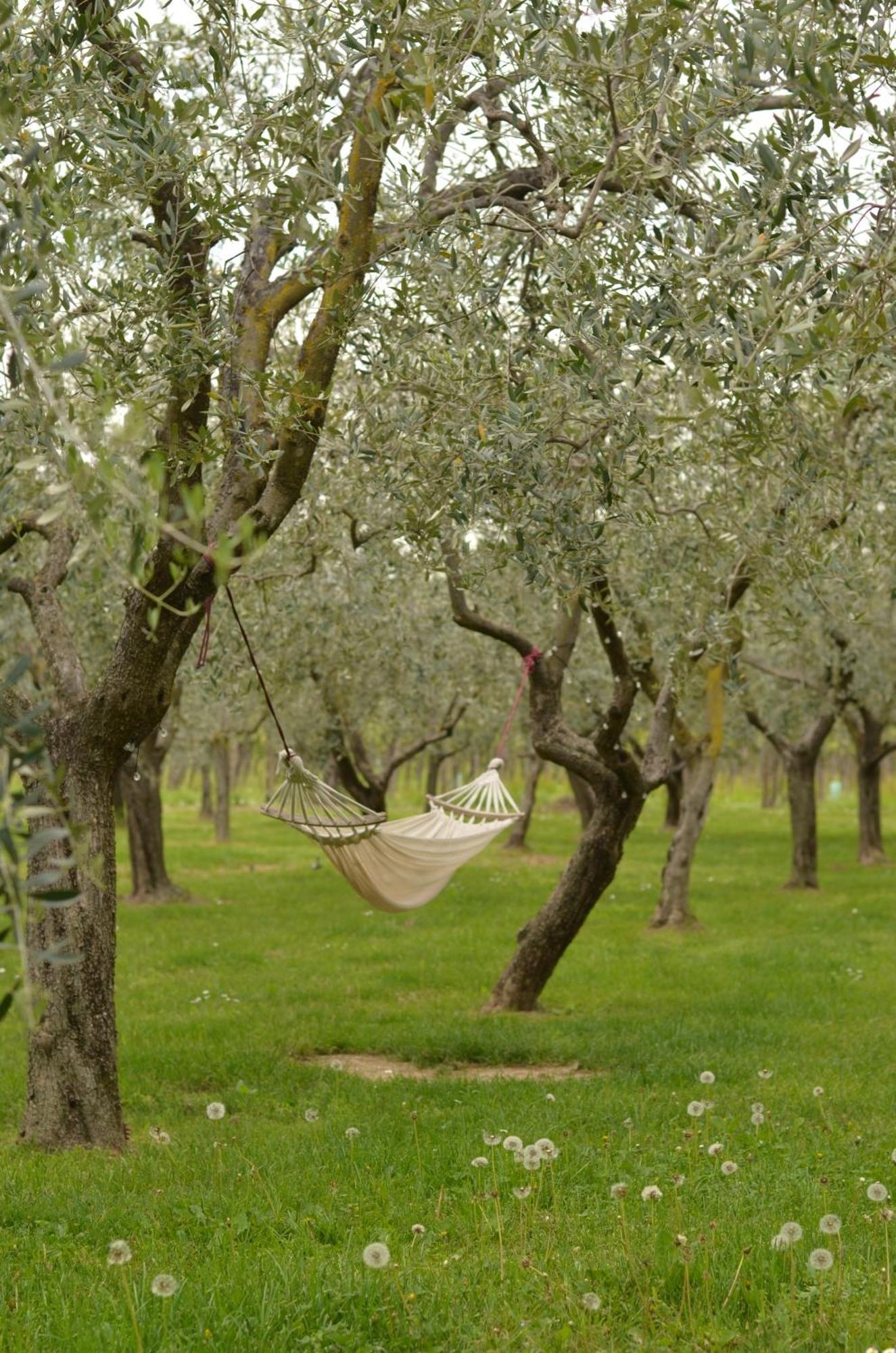 B&B La Cipressina Кавайон-Веронезе Экстерьер фото